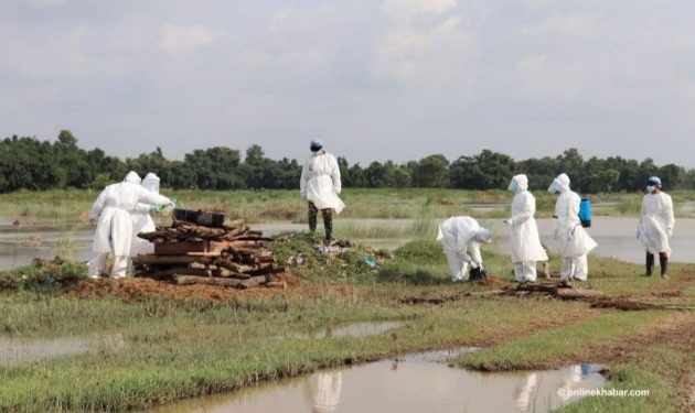 भारतमा कोरोना संक्रमितको संख्या २१ लाख ५३ हजार पुग्यो, १४ लाख भन्दाबढी निकाे भएर डिस्चार्ज