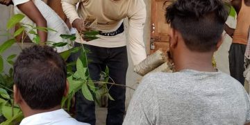 समाजवादी बिद्यार्थी युनियनका केन्द्रीय सदस्यले वितरण गरे विभिन्न जातकाे विरुवा