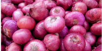 भारतले प्याज निर्यातमा राेक लगाएपछी नेपालमा प्याजकाे भाव बढयाे