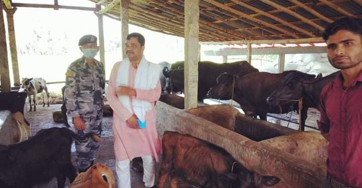 कृषि मन्त्रि साहद्धारा फार्मको स्थलगत अनुगमन