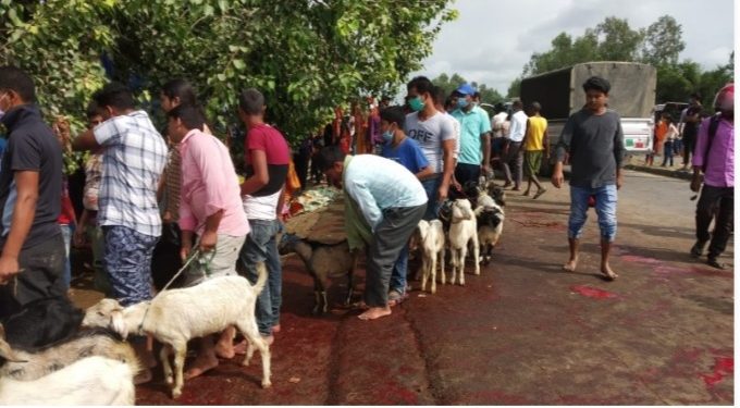 सीडीओको निर्णयकाे धजिया उडाउदै धनुषाका शक्तिपीठमा बोका बली चढ्दै