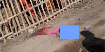 औरही नगरपालिका ८ टिम्कीयाकामा टिपरले लियाे एक बालिकाकाे ज्यान