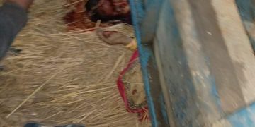 सम्सि गाउँपालिकामा ट्याक्टर दुर्घटना मा दुई जनाको घटनास्थला मृत्यू