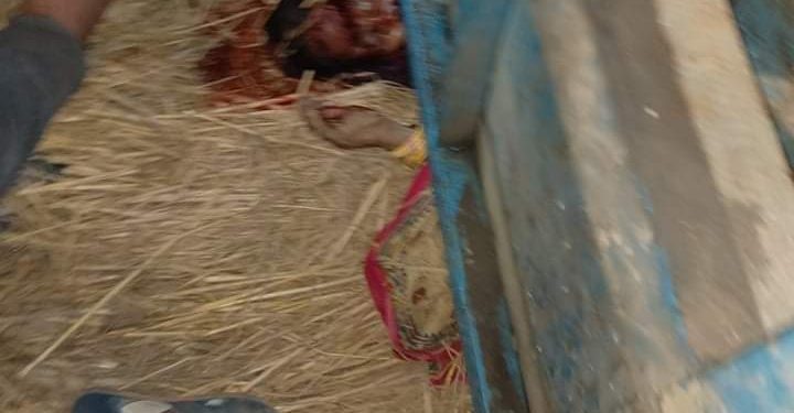 सम्सि गाउँपालिकामा ट्याक्टर दुर्घटना मा दुई जनाको घटनास्थला मृत्यू