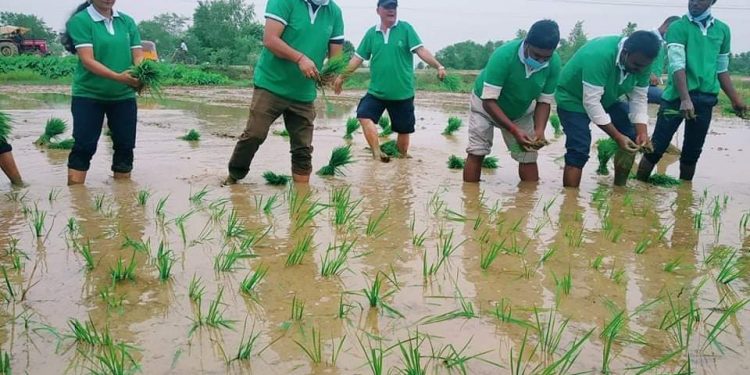 कृष्णनगर नगरपालिकाले मनायो १८ औं राष्ट्रीय धान दिवस