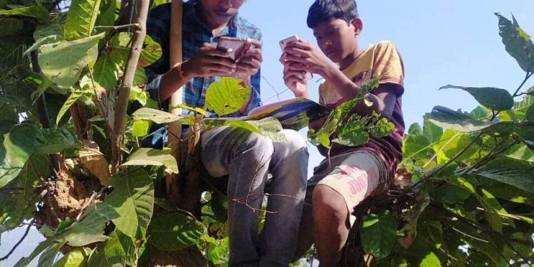 एकैसौ सताब्दीमा महोत्तरीको सकरी गाँउ संचार बिहीन मोबाईल टावर न हुँदा मानिसहरु समस्यामा