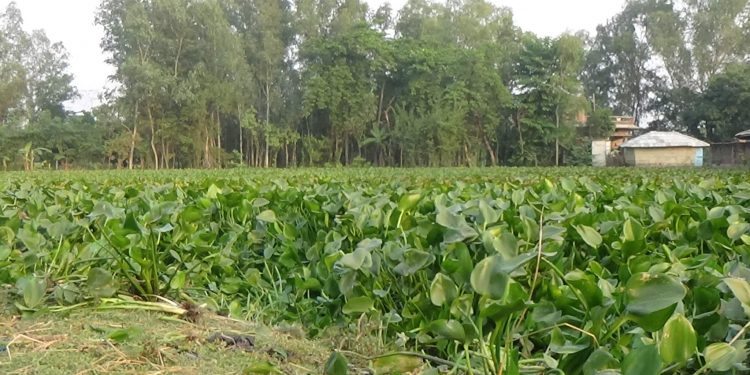 मठमन्दिर तथा सार्बजनीक पोखरी प्रति एकडाराका जनप्रतिनिधीहरुको बेवास्ता छठ ब्रतका लगी पोखरी खोज्दै स्थानिय