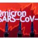 २२ मुलुकमा ओमिक्रोन भेरियन्ट फैलिएयाे