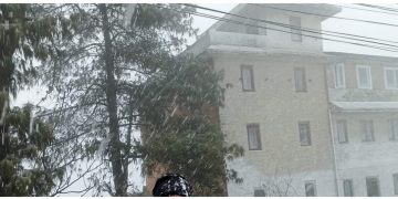 हावाहुरीले रुख ढल्दा च्यापिएर दुई विद्यार्थीको मृत्युु