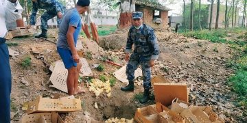 सशस्त्र प्रहरी द्वारा अबैध चल्ला नष्ट