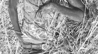 हंसपुरमा गहुँ खेतमा भेटियो युवकको शव