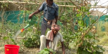 मताधिकारको सदुपयोग गर्न जान्छु तर चुनावमा नेताको भाषण सुन्ने फुर्सद छैन  महोत्तरीका किसान मतदाताको भनाई