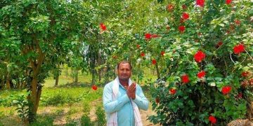 महाेतरीकाे साेनमा गाउँपालिका वडा ८मा  नेपाली कांग्रेस प्यानलसहित विजयी