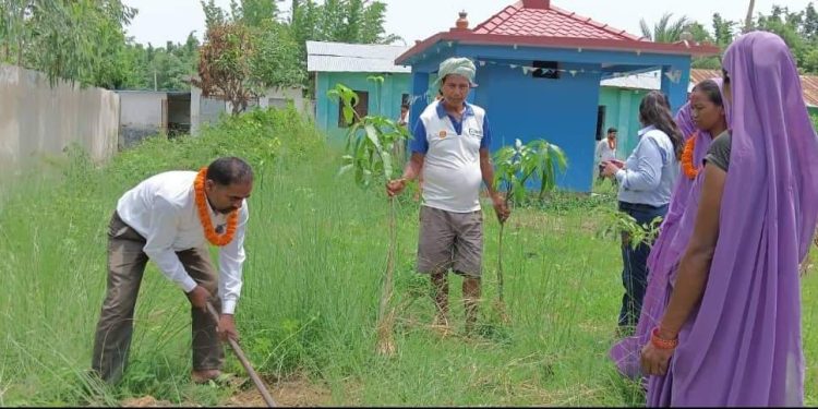 महुली बिकासका लहान शखाद्वारा वृक्षा रोपन कार्यक्रम सम्पन्न