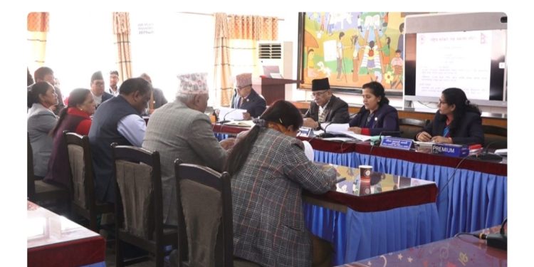 मिटरब्याज पीडितको समस्या अदालती प्रक्रियासँग सम्बन्धित छ : प्रचण्ड