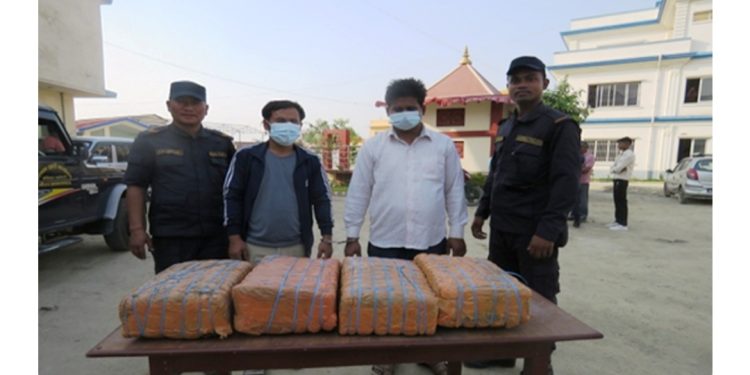 २० किलो गाँजासहित भंगहा न पा बाट वडासदस्य पक्राउ