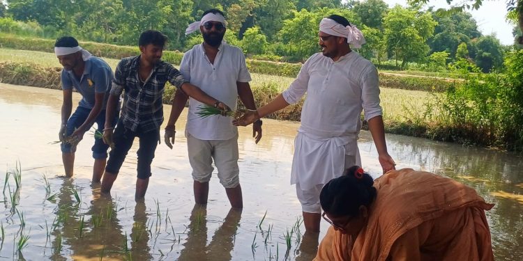 किशानहरु सँगै पुर्व राज्य मन्त्री कुसबाहाले मनाए घानदिवस