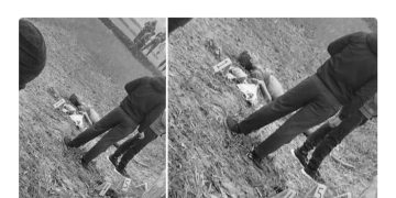 साेनमा गाउँपालिकामा अर्धनग्न अवस्थामा भेटियो युवकको शव, हत्याको आशंका