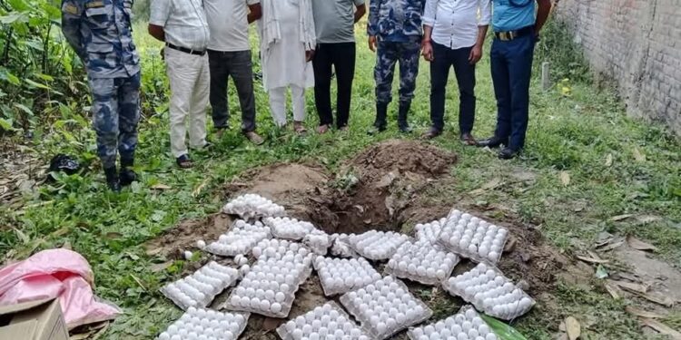 मुख्यमन्त्री सिँहको निर्देशनपछि सेतो अण्डा बरामद गरी नष्ट गर्दै सशस्त्र प्रहरी बल