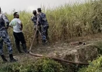 औरही नगरपालिकामा अमिन यादवको उखु खेतीमा आगलागी, दमकलको सहयोगमा नियन्त्रण