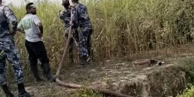 औरही नगरपालिकामा अमिन यादवको उखु खेतीमा आगलागी, दमकलको सहयोगमा नियन्त्रण