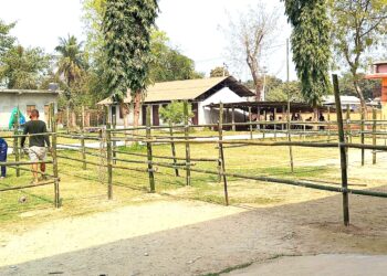 फागुन २१ गते हुने प्रतिनिधिसभा निर्वाचनको लागी महोत्तरीमा मतदान केन्द्र निर्माण तीव्र, सीमा नाका सिल